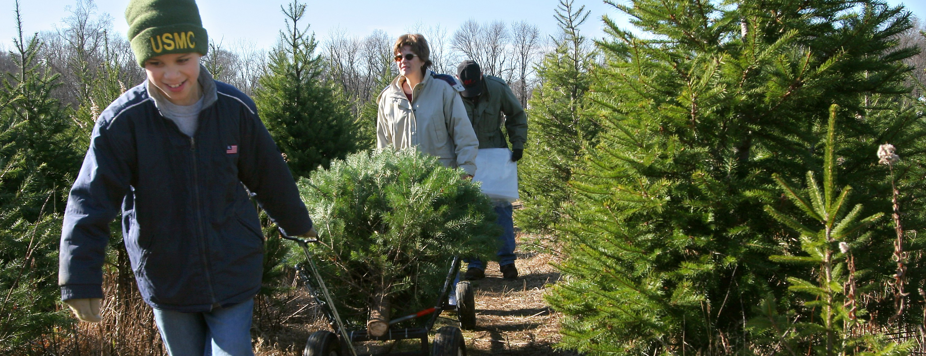 Spruce Goose Christmas Tree Farm – Cut Your Own New Jersey Fresh Christmas Tree